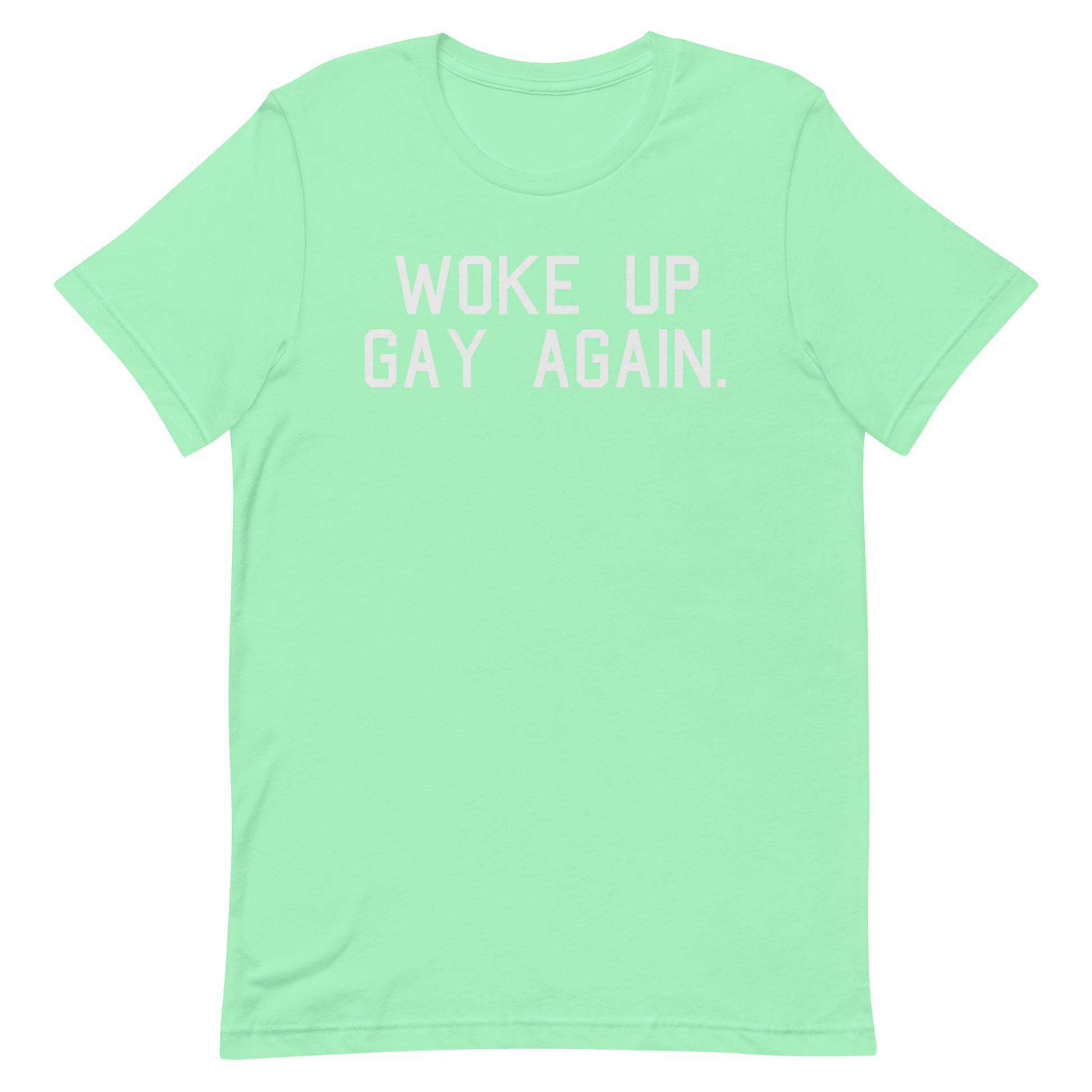 A mint green short-sleeve t-shirt with the phrase 'WOKE UP GAY AGAIN.' printed in white block letters across the chest, displayed on a solid white background.