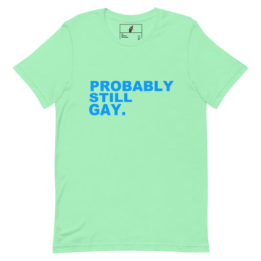 A mint green short-sleeve t-shirt with the text 'PROBABLY STILL GAY.' printed in blue across the chest, displayed flat against a white background.