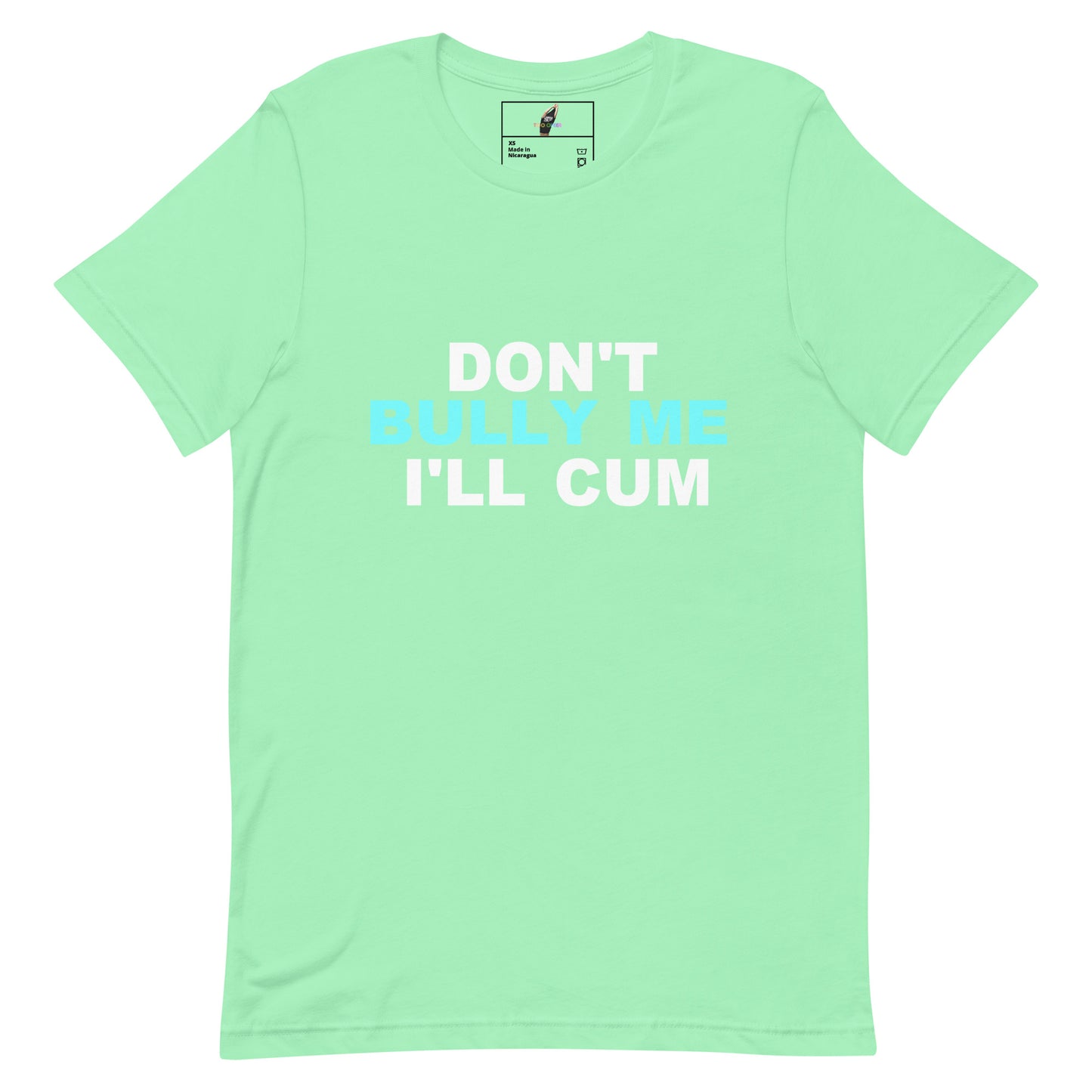 A mint green short-sleeve t-shirt with the text 'DON'T BULLY ME I'LL CUM' printed on the chest in white and light blue. The shirt is displayed flat against a solid white background.