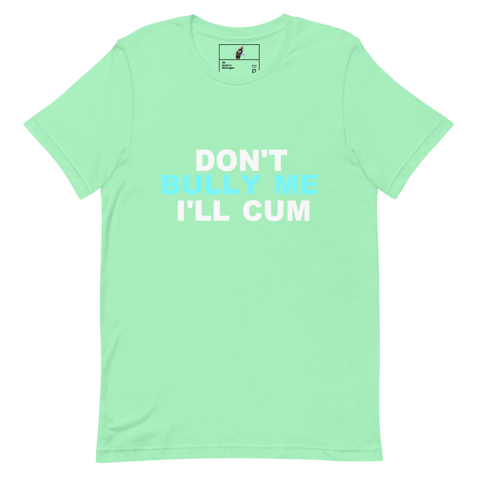 A mint green short-sleeve t-shirt with the text 'DON'T BULLY ME I'LL CUM' printed on the chest in white and light blue. The shirt is displayed flat against a solid white background.