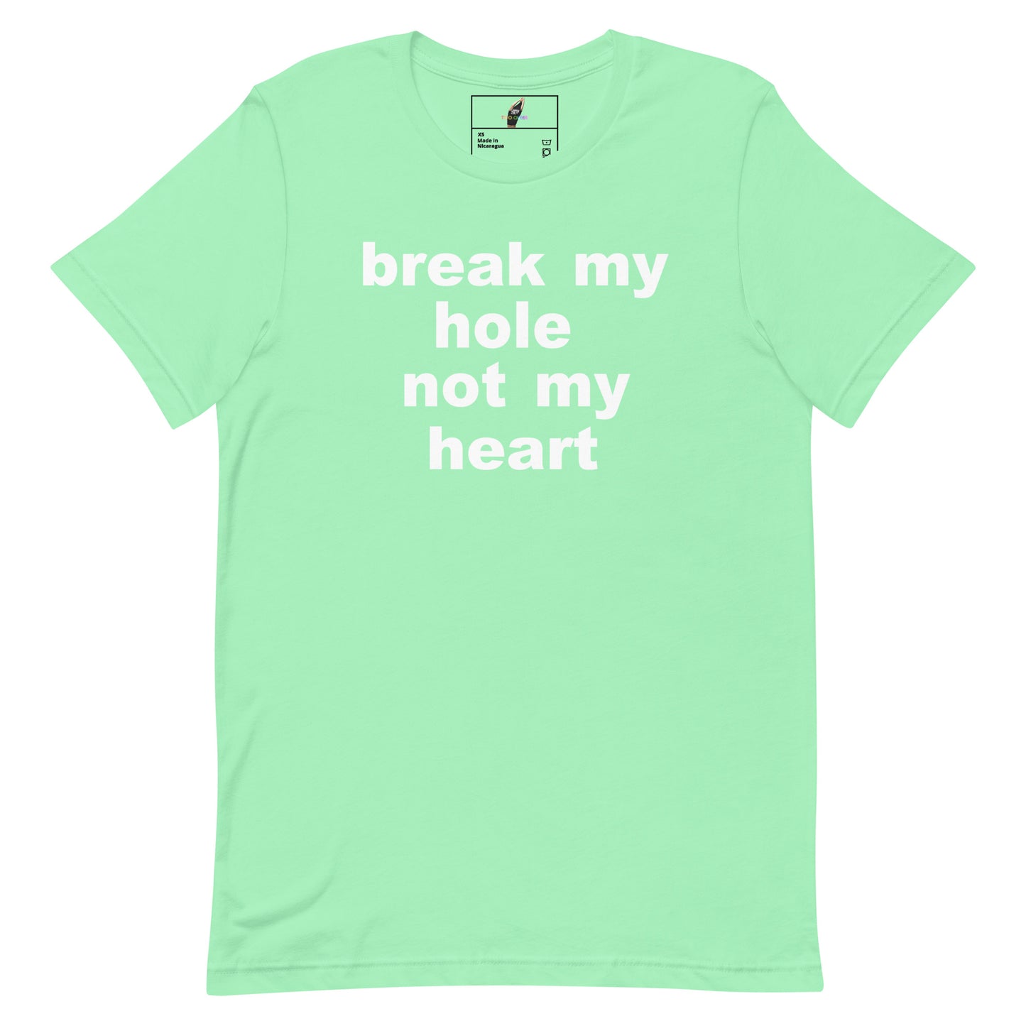 A mint green short-sleeve t-shirt with the phrase 'break my hole not my heart' printed in white lowercase letters on the front, displayed flat against a white background.