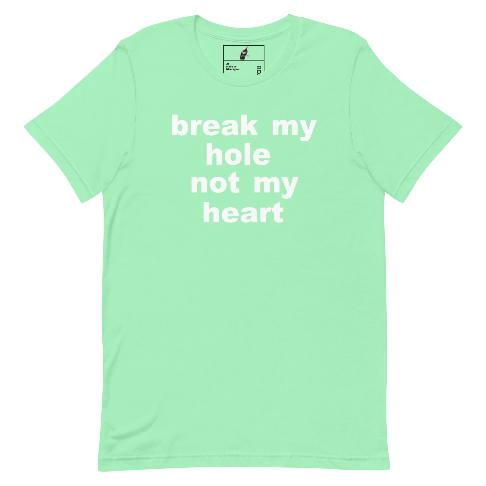 A mint green short-sleeve t-shirt with the phrase 'break my hole not my heart' printed in white lowercase letters on the front, displayed flat against a white background.