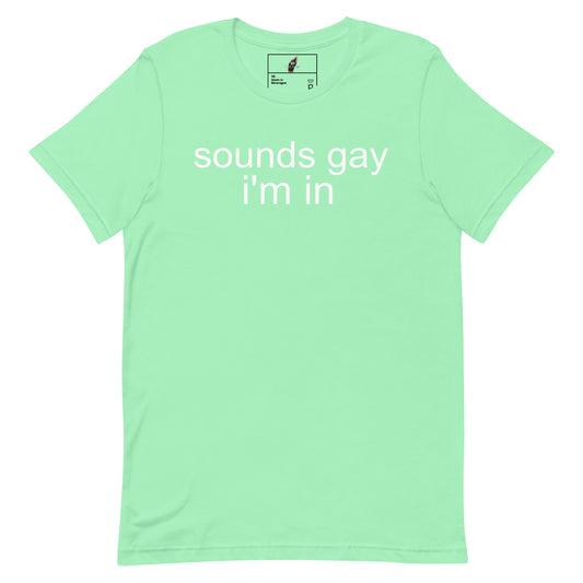 A mint green short-sleeve t-shirt with the text 'sounds gay i'm in' printed in white across the chest, displayed on a solid white background.