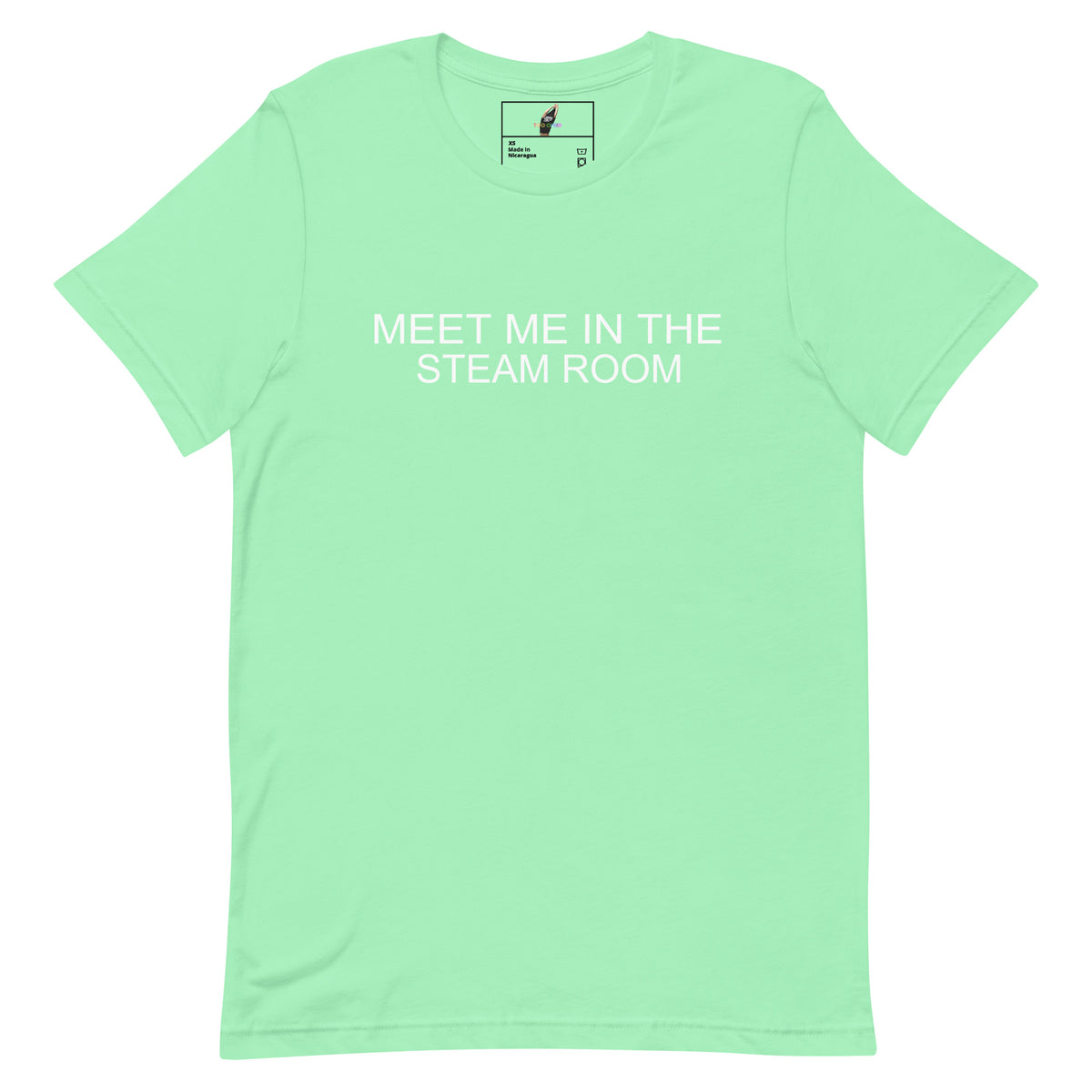 A mint green short-sleeve crewneck t-shirt with the text 'MEET ME IN THE STEAM ROOM' printed in white across the chest, displayed on a solid white background.