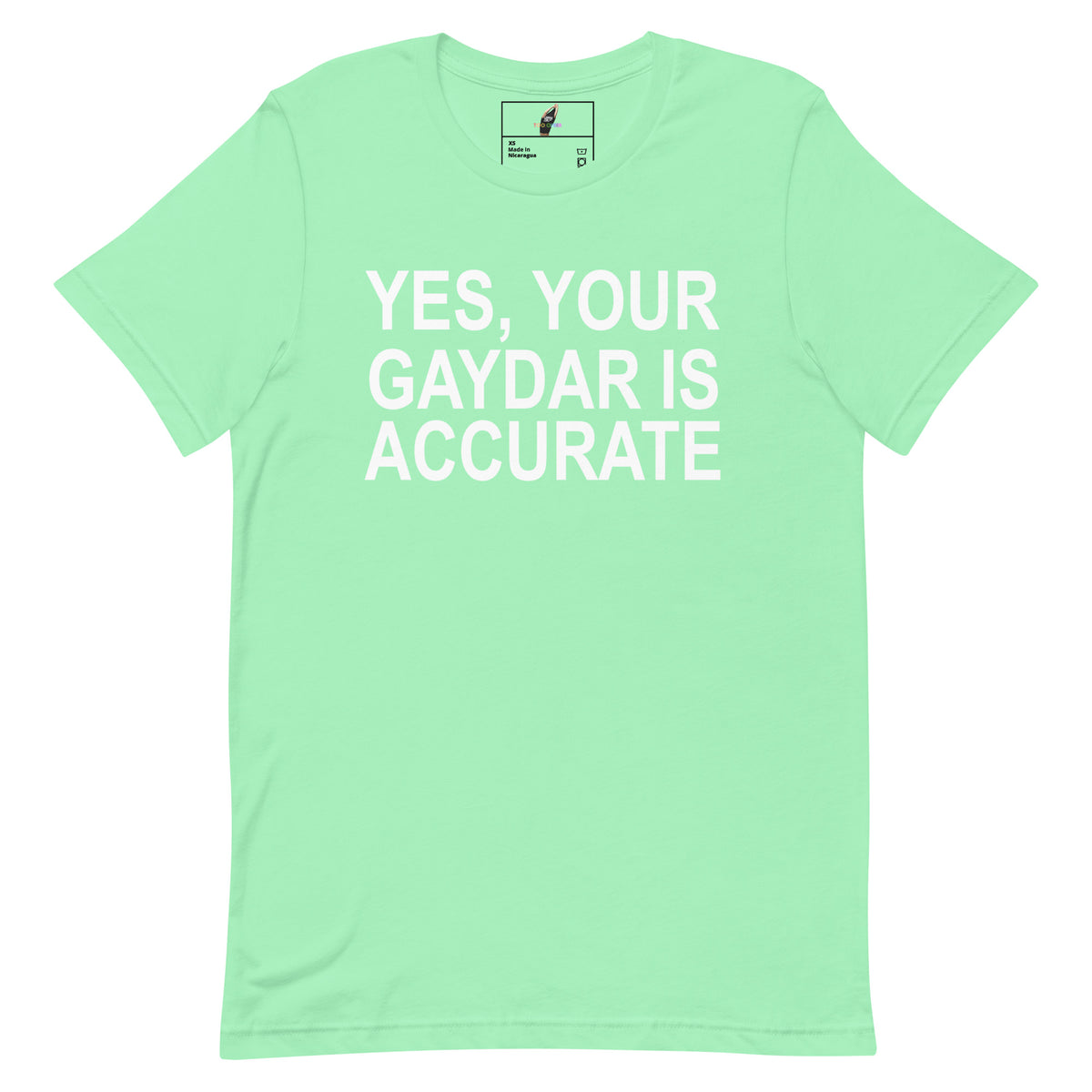 Yes, Your GAYDAR Is Accurate T Shirt - Mint
