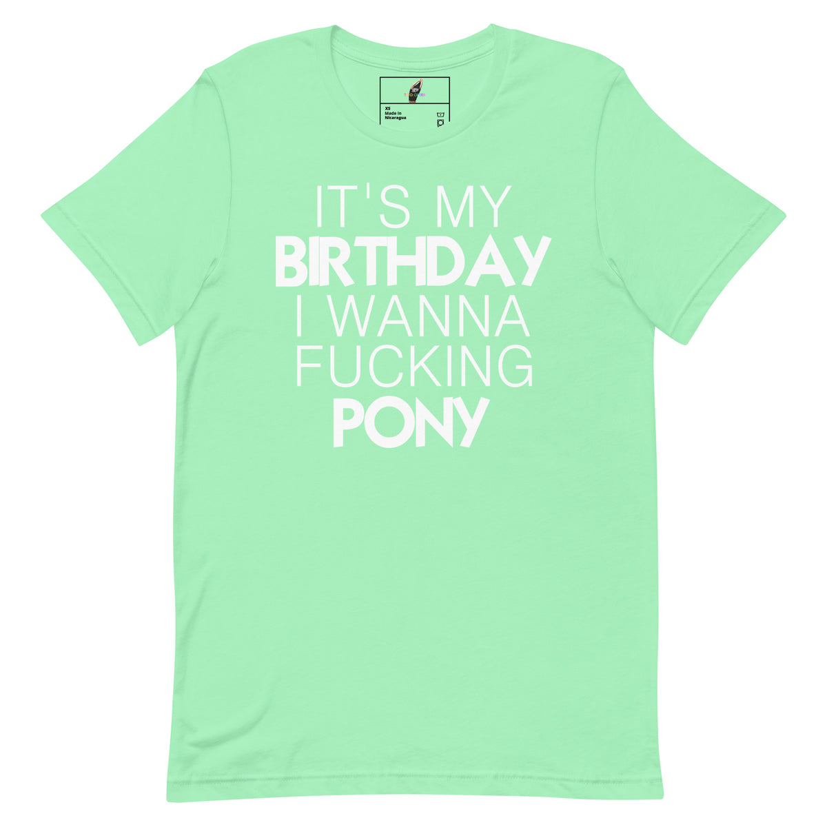 A mint green short-sleeve t-shirt with bold white text on the front reading 'IT'S MY BIRTHDAY I WANNA FUCKING PONY'. The shirt is displayed flat against a solid white background, with a small brand label visible inside the collar.