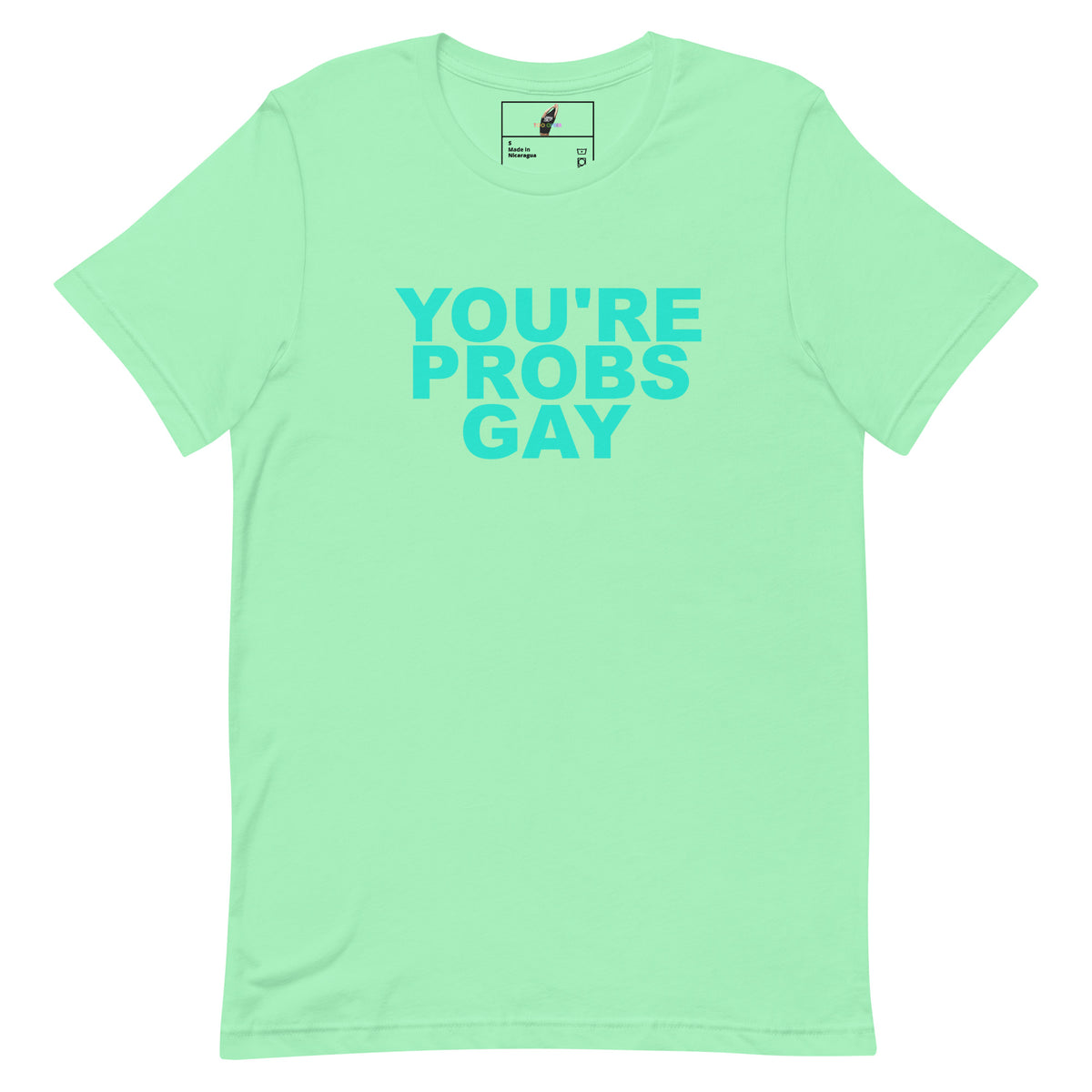 A mint green short-sleeve t-shirt with the text 'YOU'RE PROBS GAY' printed in a bright turquoise font across the chest. The shirt is displayed flat against a solid white background.