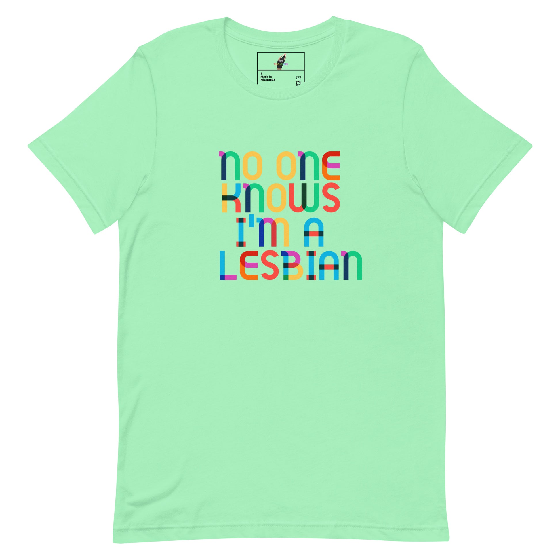 A mint green short-sleeve t-shirt with a colorful graphic text print reading 'no one knows i'm a lesbian' in rainbow-colored letters, displayed on a clean white background.