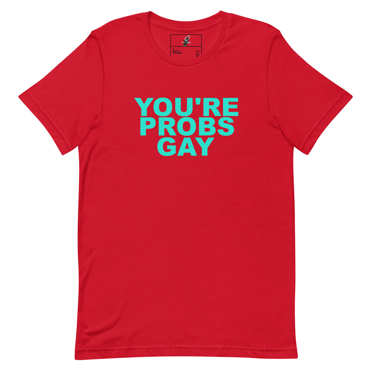 A red short-sleeve crewneck t-shirt with the phrase 'YOU'RE PROBS GAY' printed on the chest in a bright teal sans-serif font, displayed flat against a solid white background.