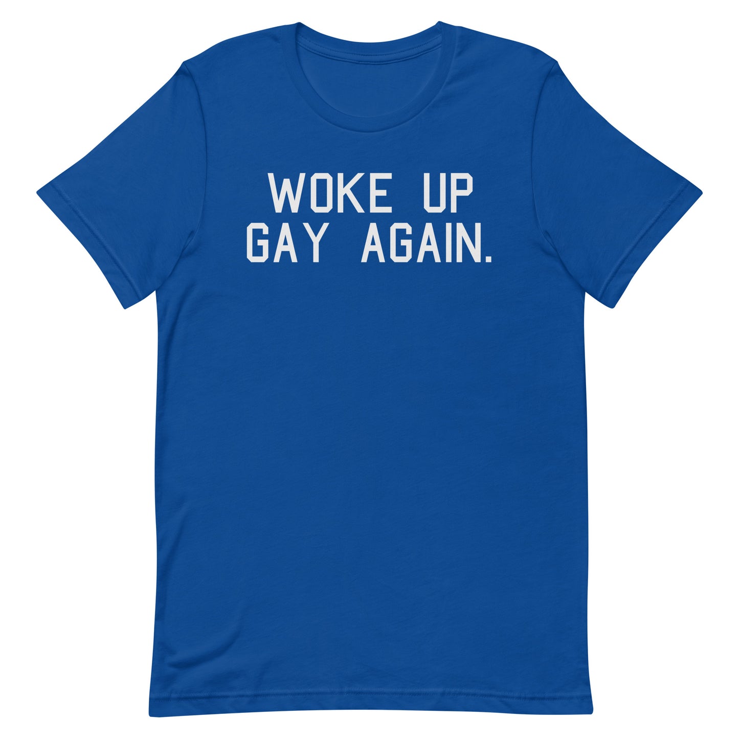 A royal blue short-sleeve crewneck t-shirt with the phrase 'WOKE UP GAY AGAIN.' printed in white block letters across the chest, displayed on a solid white background.