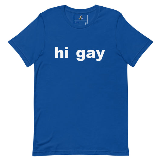A royal blue short-sleeve crewneck t-shirt with the phrase 'hi gay' printed in white lowercase letters across the chest, displayed on a solid white background.