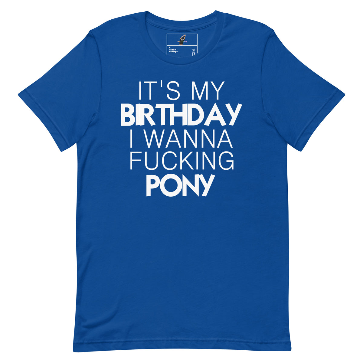 A royal blue short-sleeve t-shirt with bold white text on the front reading 'IT'S MY BIRTHDAY I WANNA FUCKING PONY'. The shirt is displayed flat against a solid white background, with a small inner neck label visible.