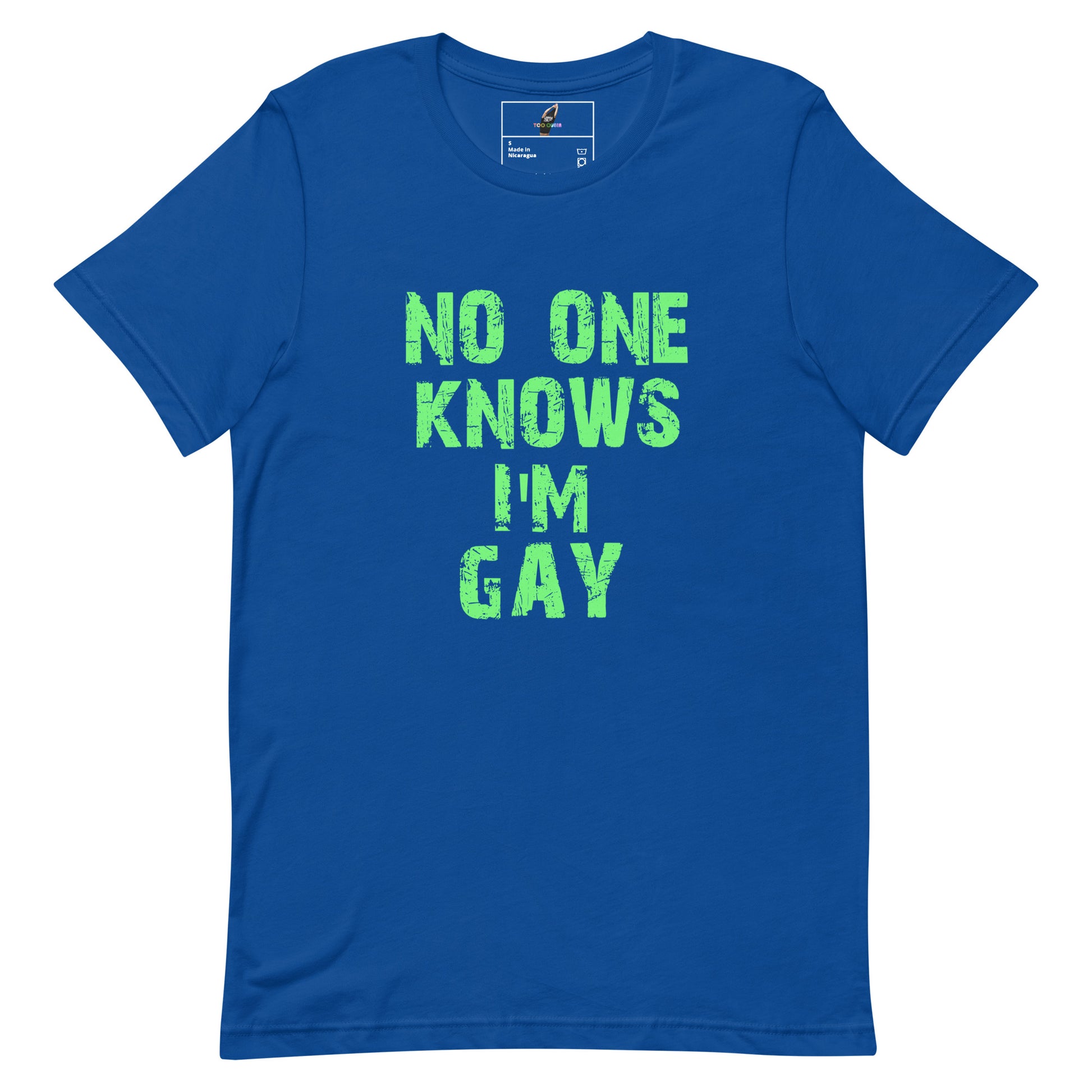A royal blue short-sleeve t-shirt with the phrase 'NO ONE KNOWS I'M GAY' printed in a distressed, bright green font on the front, displayed against a solid white background.