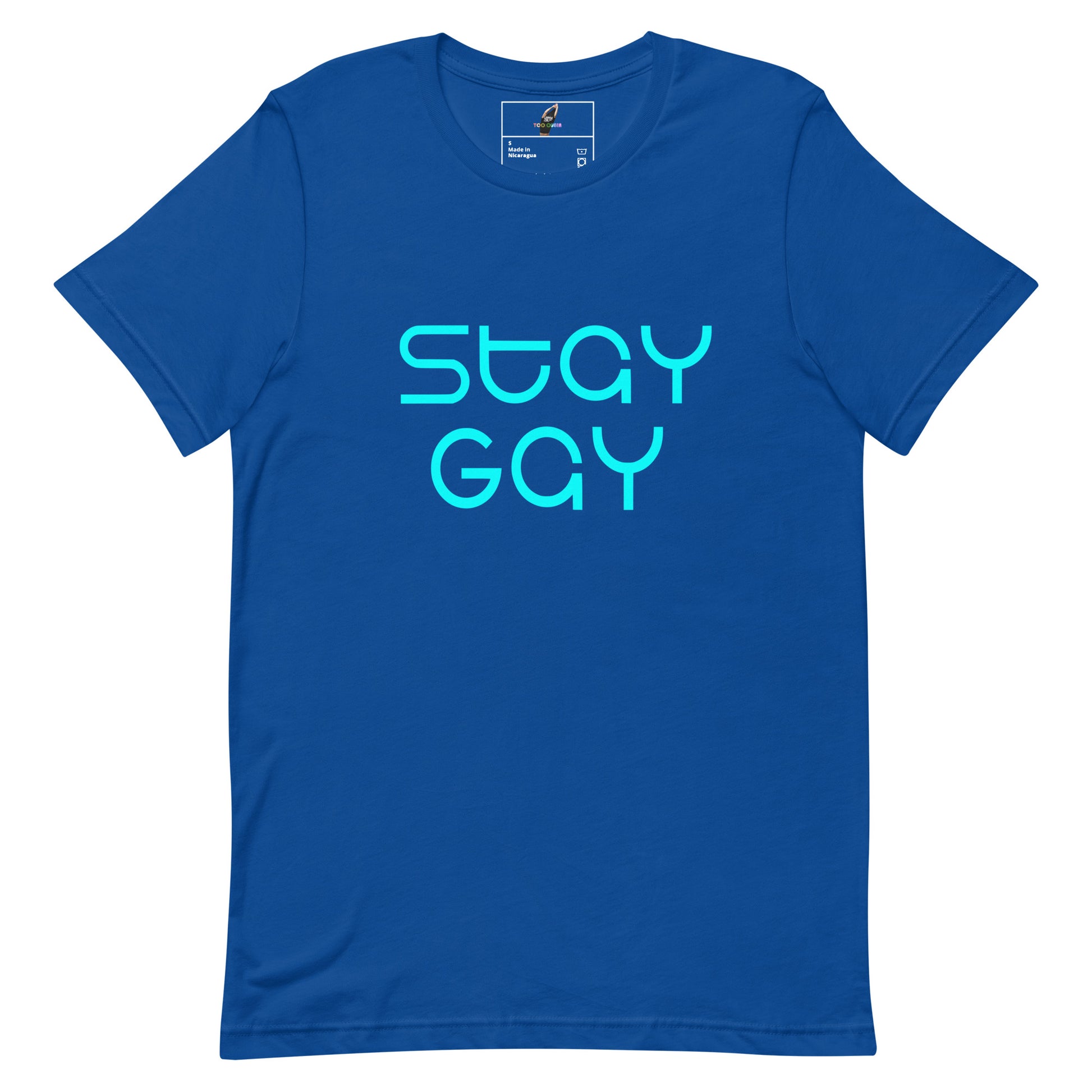 A royal blue short-sleeve crewneck t-shirt featuring the words 'STAY GAY' printed in a bright cyan sans-serif font across the chest, displayed on a clean white background.
