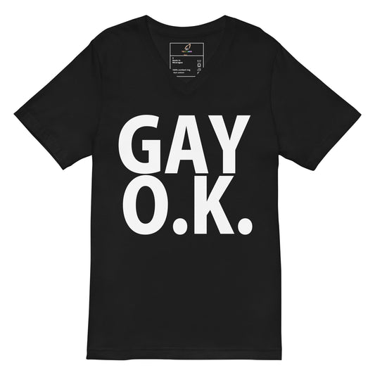 A black short-sleeve V-neck T-shirt with the words 'GAY O.K.
