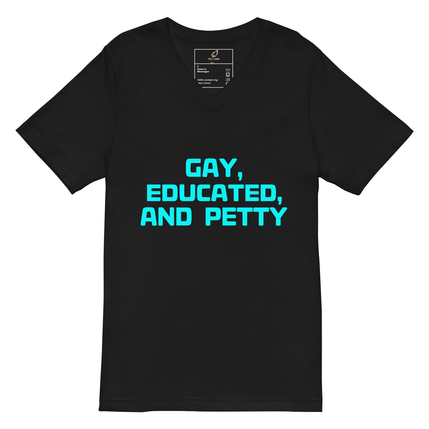 A black short-sleeve V-neck t-shirt with the text 'GAY, EDUCATED, AND PETTY' printed in bright cyan on the chest, displayed on a solid white background.