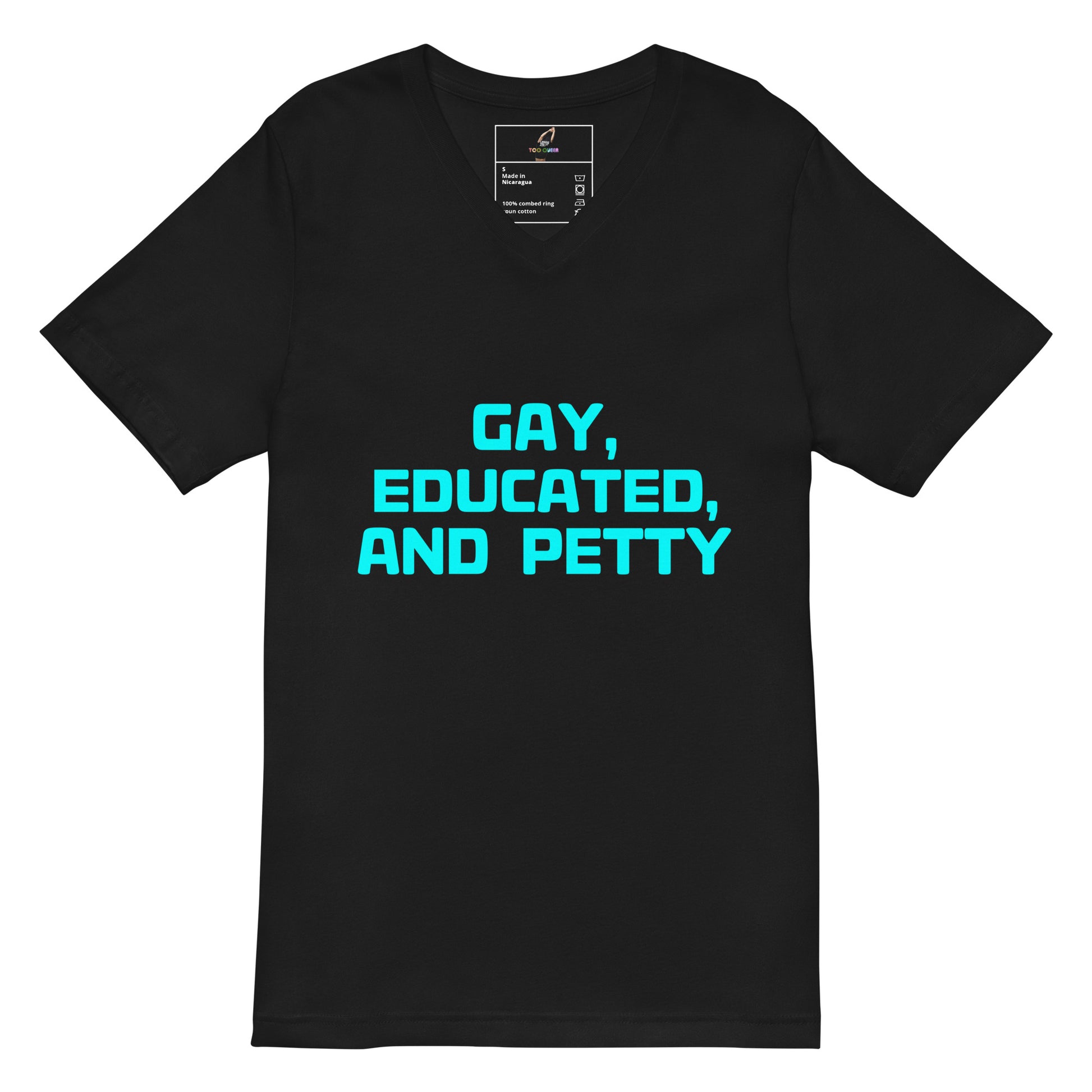 A black short-sleeve V-neck t-shirt with the text 'GAY, EDUCATED, AND PETTY' printed in bright cyan on the chest, displayed on a solid white background.