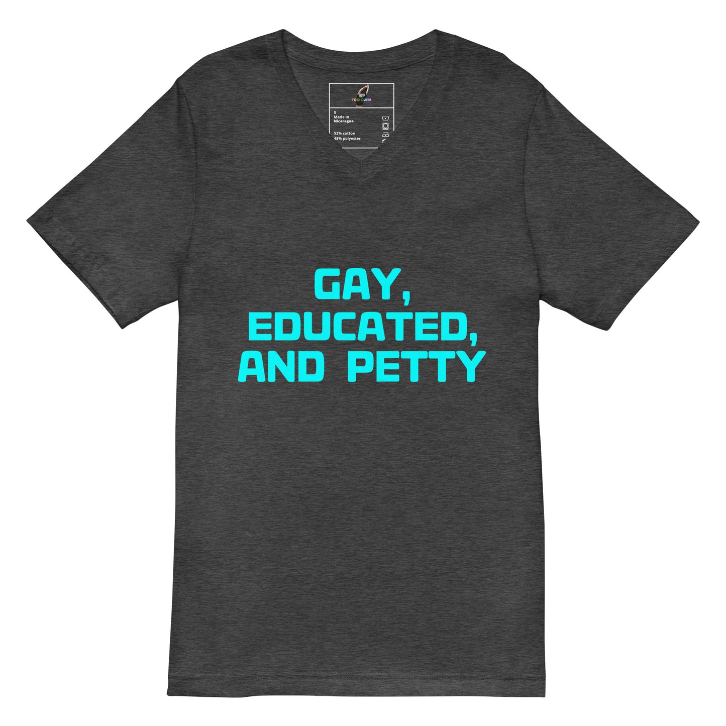A dark heather gray v-neck t-shirt with the text 'GAY, EDUCATED, AND PETTY' printed in bright cyan blue across the chest, displayed on a solid white background.