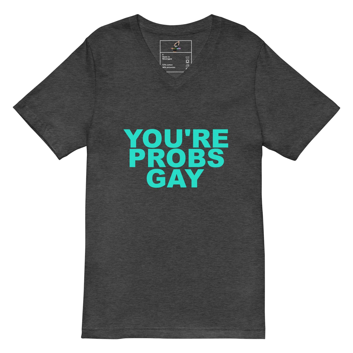 A dark heather gray v-neck t-shirt with the text 'YOU'RE PROBS GAY' printed in a bright turquoise blue font on the chest, displayed against a solid white background.