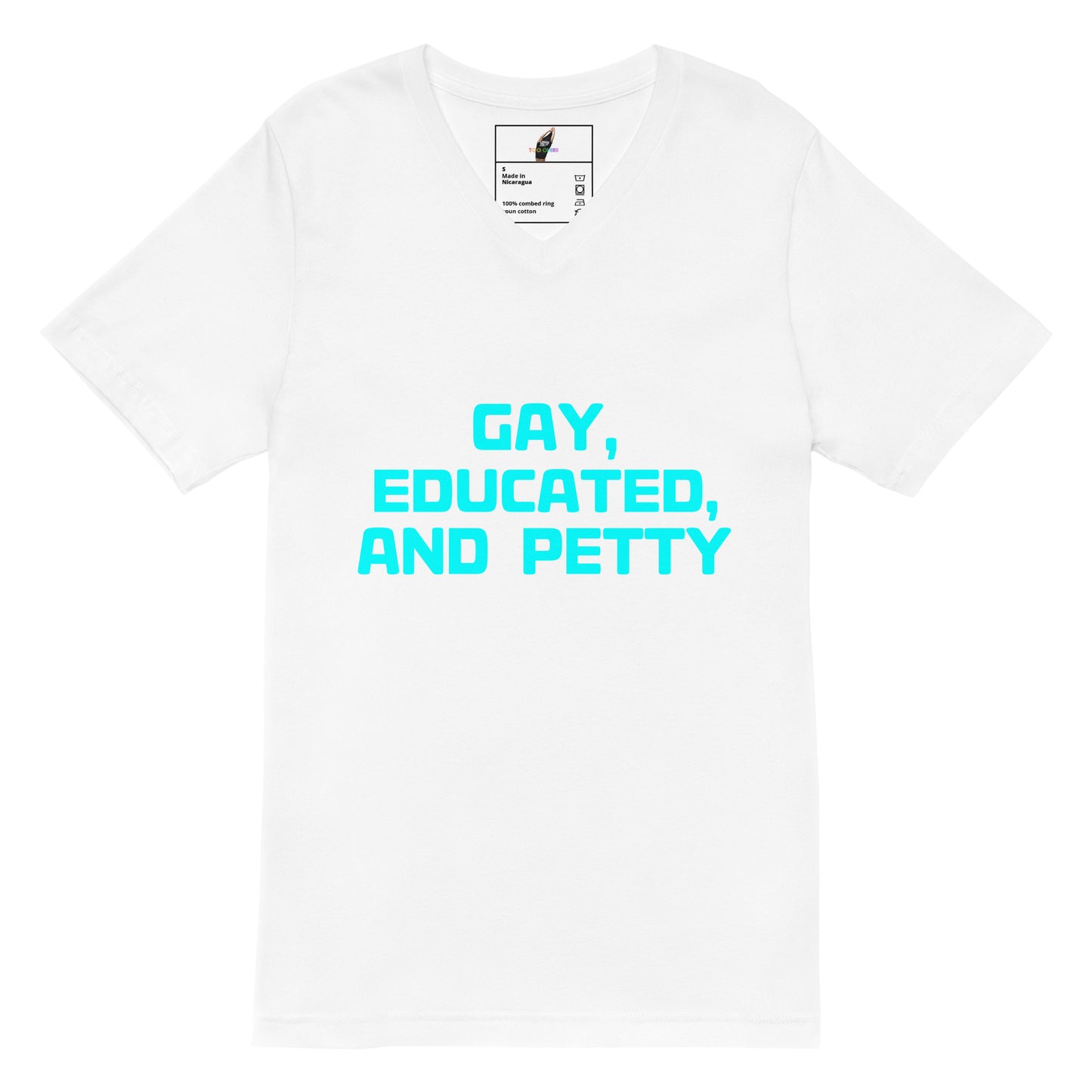 A white short-sleeve crewneck t-shirt with the text 'GAY, EDUCATED, AND PETTY' printed in bright cyan on the front, displayed on a clean white background.